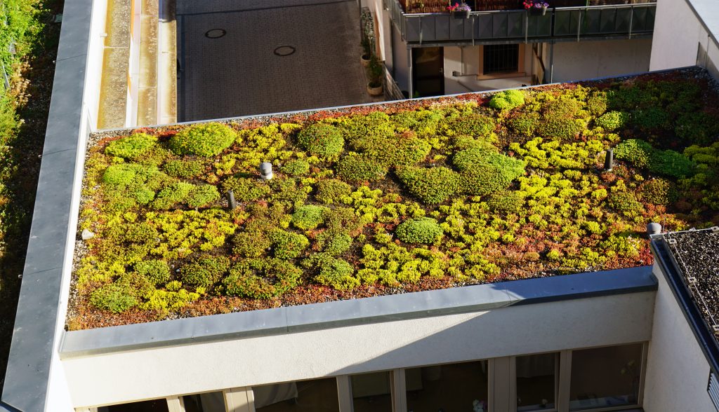 Flachdachbegrünung, ökologische Bauplanung
